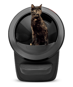 Black cat in Litter-Robot 4 automatic litter box in black