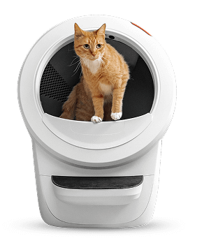 Orange cat in white Litter-Robot 4 automatic litter box